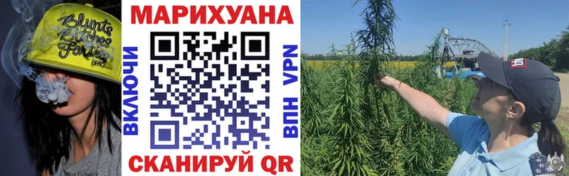 Какие есть наркотики Сураж ГАШ  ЭКСТАЗИ  Кокаин  Меф мяу мяу  Канабис  АМФЕТАМИН  Псилоцибиновые грибы 
