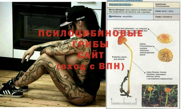 прущий лед Алзамай