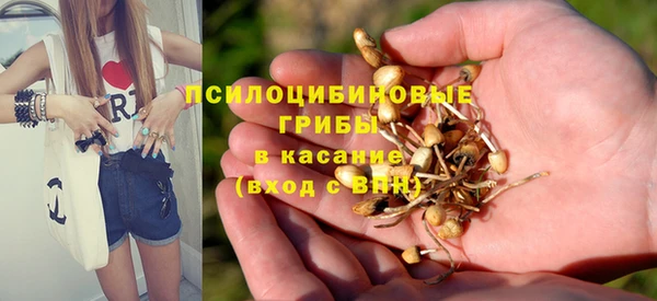 кокс Абаза